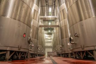 Clarification du vin : définition et méthodes
