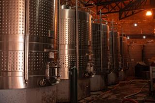 Fermentation alcoolique : définition simple