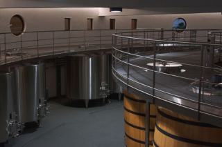 Vinification : définition et étapes